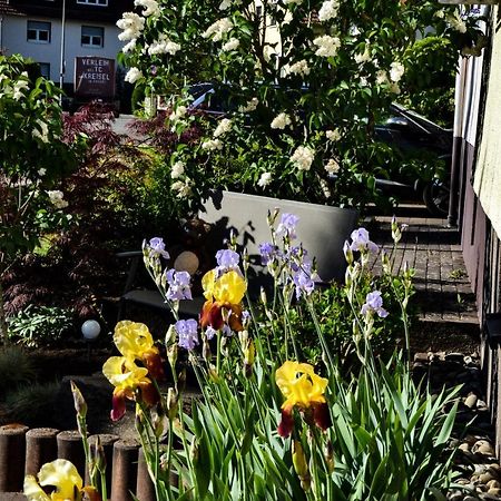 Ferienwohnung Jungbaer - Die Wohlfuehl-Adresse Im Stangenwald Sankt Ingbert Exteriör bild